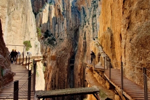 Caminito del Rey desde Málaga, Guía Oficial, Bebida y Sorteo