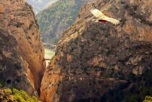 Caminito del Rey: Entry Ticket