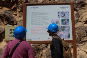 From Malaga: Caminito del Rey all included