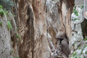Caminito del Rey depuis Málaga, en petit groupe jusqu'à 7 personnes