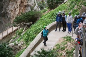 Caminito del Rey ab Málaga, kleine Gruppe bis zu 7 Personen