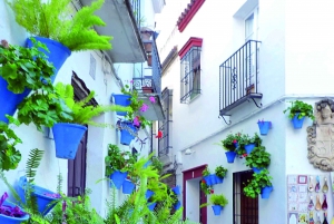 From Madrid: Cities of Andalusia 5-Day Tour
