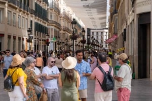 Full Malaga Tour in small group with tickets included