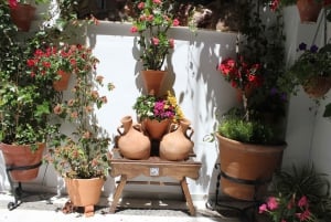 Cordoba Highlights Full-Day Tour from Granada