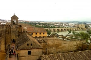 Cordoba Highlights Full-Day Tour from Granada