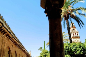 Córdoba: Höhepunkte - Ganztägige Tour ab Granada