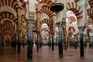 Córdoba: One-Day Trip - Discover local History and Culture