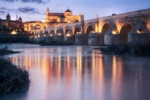 Córdoba: One-Day Trip - Discover local History and Culture