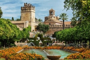 From Malaga: Private Guided Walking Tour of Córdoba