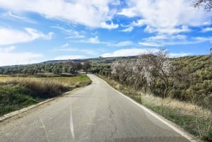 Costa del Sol y Málaga: Ronda y Setenil de las Bodegas