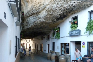 Costa del Sol and Malaga: Ronda and Setenil de las Bodegas