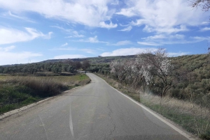 Costa del Sol and Malaga: Ronda and Setenil de las Bodegas