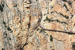 Costa del Sol: Caminito del Rey Guided Trip