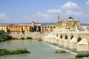 Costa del Sol: Full-Day Cordoba Tour