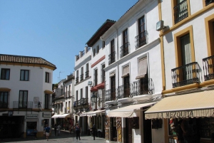 Costa del Sol: Full-Day Cordoba Tour