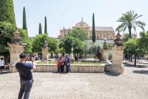 Costa del Sol: Full-Day Cordoba Tour
