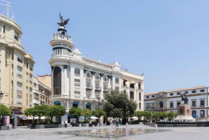 Costa del Sol: Full-Day Cordoba Tour
