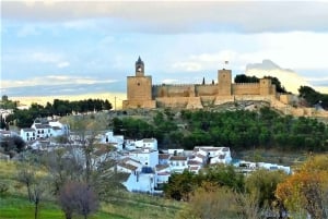 Costa del Sol: Private Tour nach Antequera
