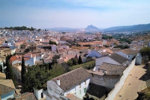 Costa del Sol: Private Tour nach Antequera