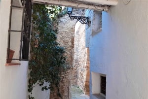 Costa del Sol: Private Tour nach Antequera