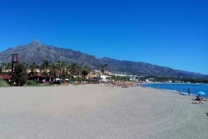 Costa del Sol: Private Tour to Marbella