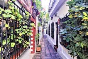 Costa del Sol: Private Tour to Marbella