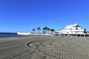 Costa del Sol: Private Tour to Marbella