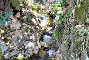 Costa del Sol: Private Tour nach Ojen