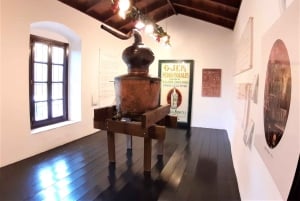 Costa del Sol: Private Tour nach Ojen