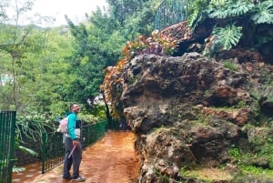 Costa del Sol: Private Tour to Ojen