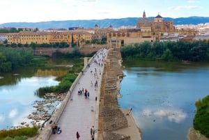 Costa del Sol: Private trip to Cordoba