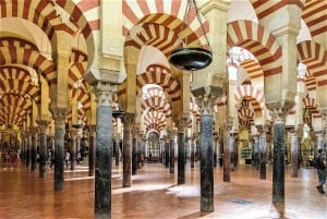 Costa del Sol: Private trip to Cordoba