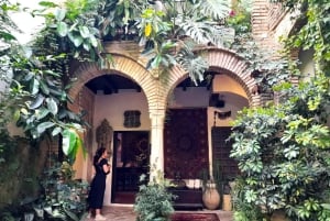 Costa del Sol: Private trip to Cordoba