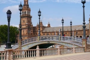 Costa del Sol: Sevilla with guided tour of the Cathedral