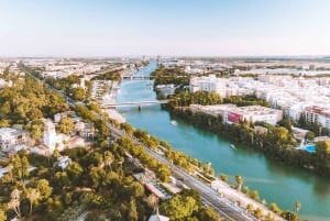 Costa del Sol: Alcázar & Sevillan katedraali Yksityinen kiertoajelu