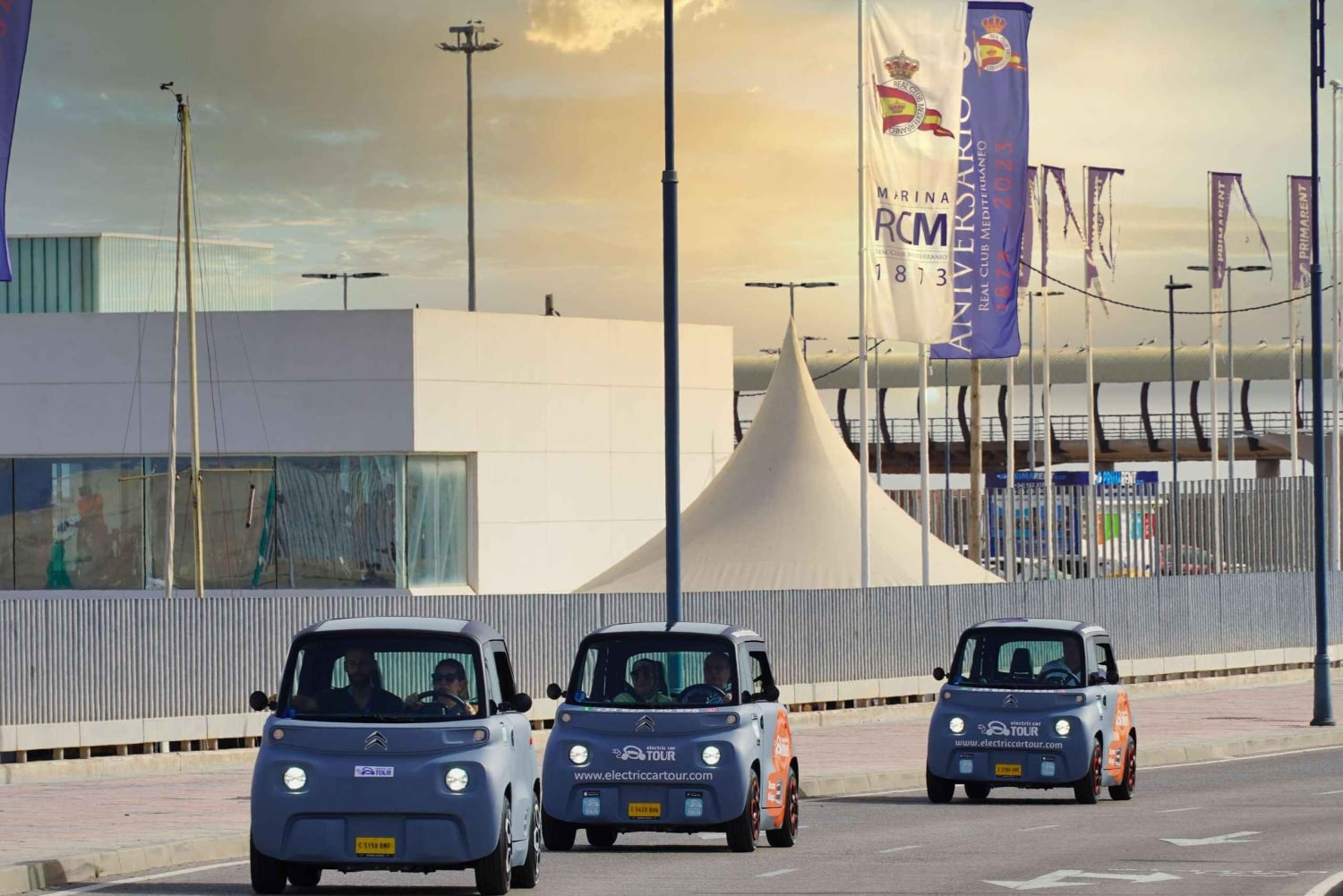 Cruise Terminal Pickup: Málaga in 2 Hours by Electric Car
