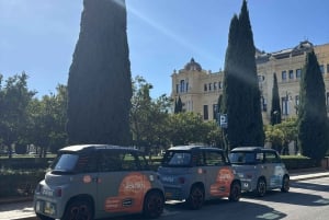 Cruise terminal pickup. Malaga in 2 hours by Electric Car