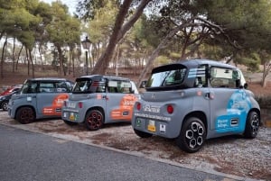 Cruise terminal pickup. Malaga in 2 hours by Electric Car