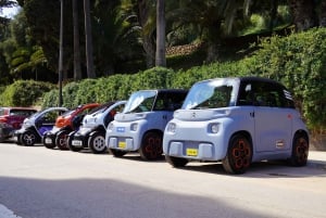 Cruise Terminal Pickup: Málaga in 2 Hours by Electric Car