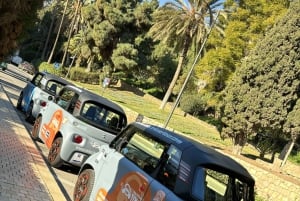 Cruise Terminal Pickup: Málaga in 2 Hours by Electric Car