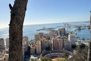 Cruise Terminal Pickup: Málaga in 2 Hours by Electric Car