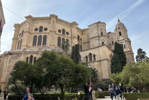 Cruise Terminal Pickup: Málaga in 2 Hours by Electric Car