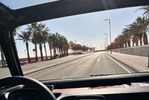 Cruise Terminal Pickup: Málaga in 2 Hours by Electric Car