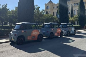Cruise Terminal Pickup: Málaga in 2 Hours by Electric Car