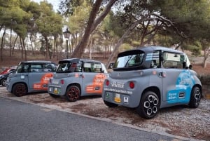 Cruise Terminal Pickup: Málaga in 2 Hours by Electric Car