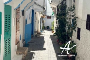 Day trip to Tangier Morocco from Malaga All inclusive