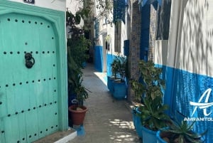 Day trip to Tangier Morocco from Malaga All inclusive