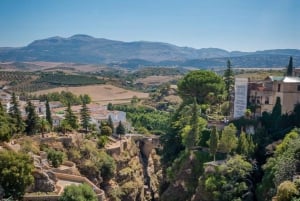 Fra Malaga: Ronda og Setenil de las Bodegas - guidet dagstur