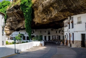 From Malaga: Ronda & Setenil de las Bodegas Guided Day Trip