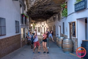 Vanuit Málaga: Ronda & Setenil de las Bodegas begeleide dagtrip